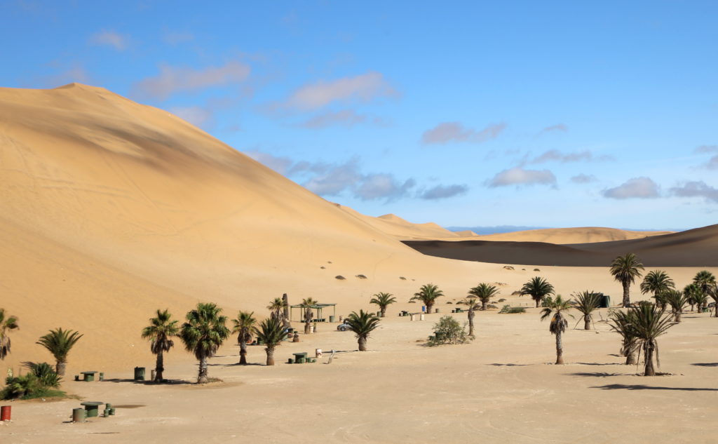 Dune 7 Picknick area