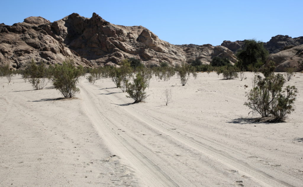 Landscapes
Rock formations of the Swakop River, and young trees growing in white sand