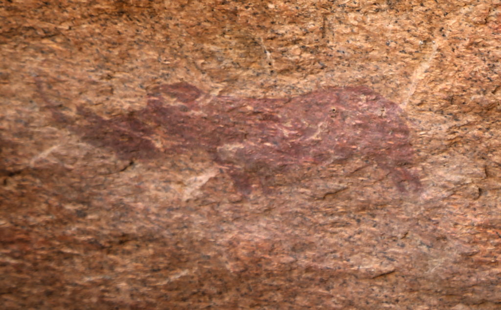 Depiction of a Rhinoceros on rock by Busman artist