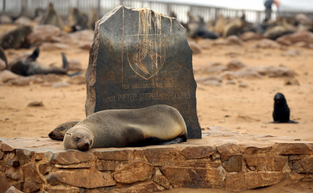 Seal Resting on monument