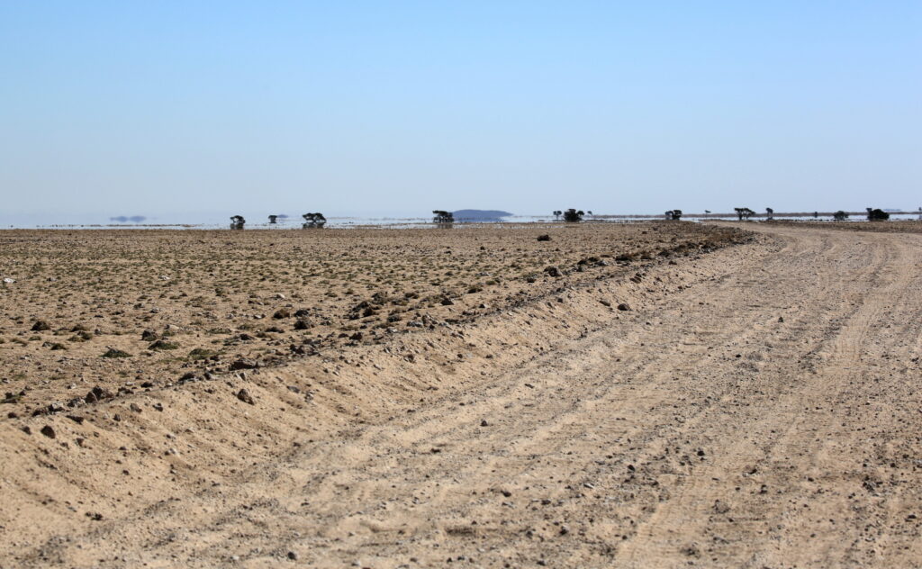 The badly corrugated Roads of Namibia