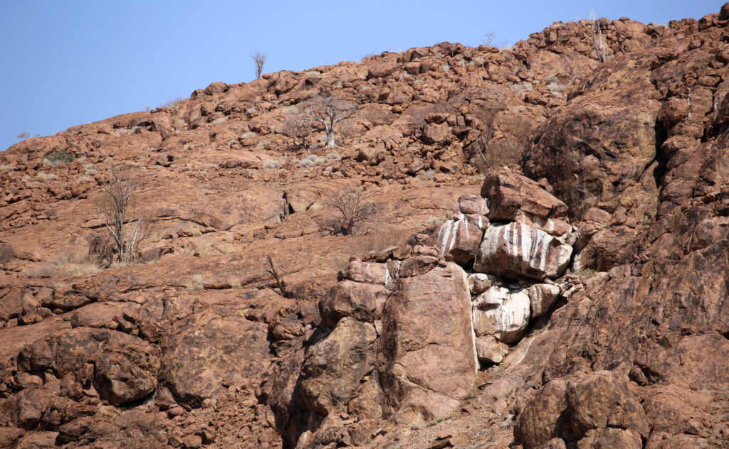 These barren rocks are stained white by the urine of the Hyrax. 