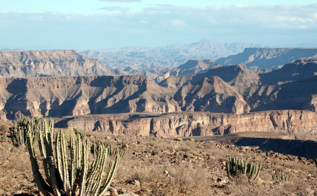 Euphorbia and the fish river canyon in the background