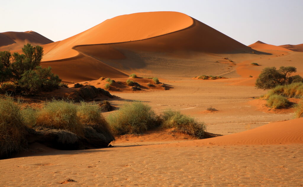 The dunes at Sossusvlei