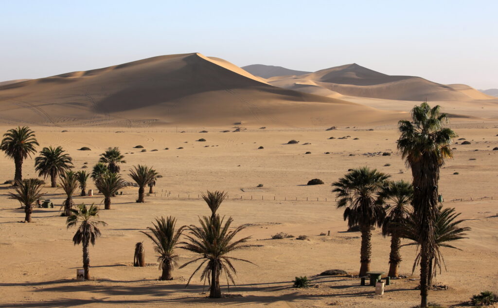 Dune 7 allows a nice view over the dune belt to the North