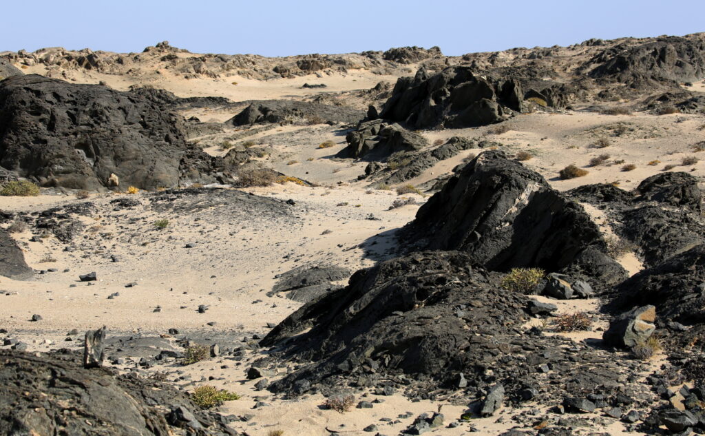 Black Rock near Diaz Point