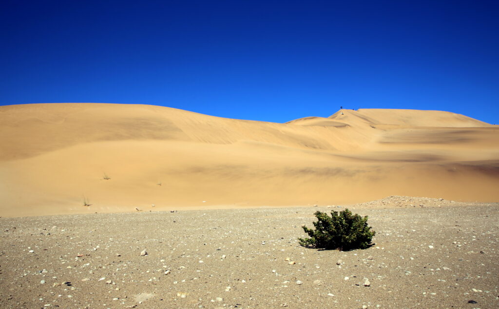 Sand and Namibian skies at Dune 7