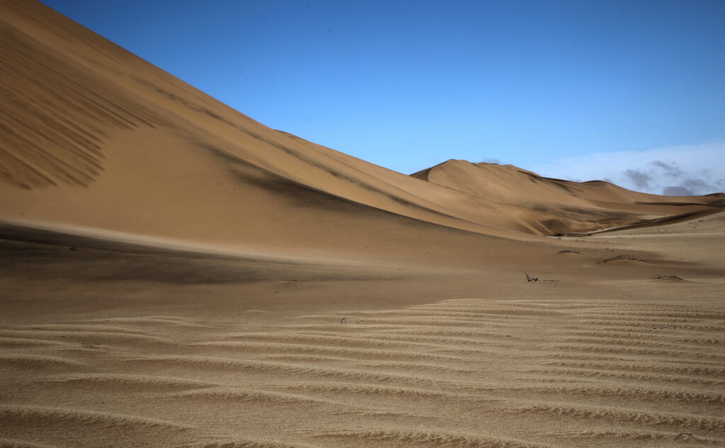 Perfect dunes in the dune belt