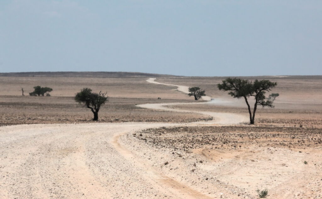 Road through the dry desert