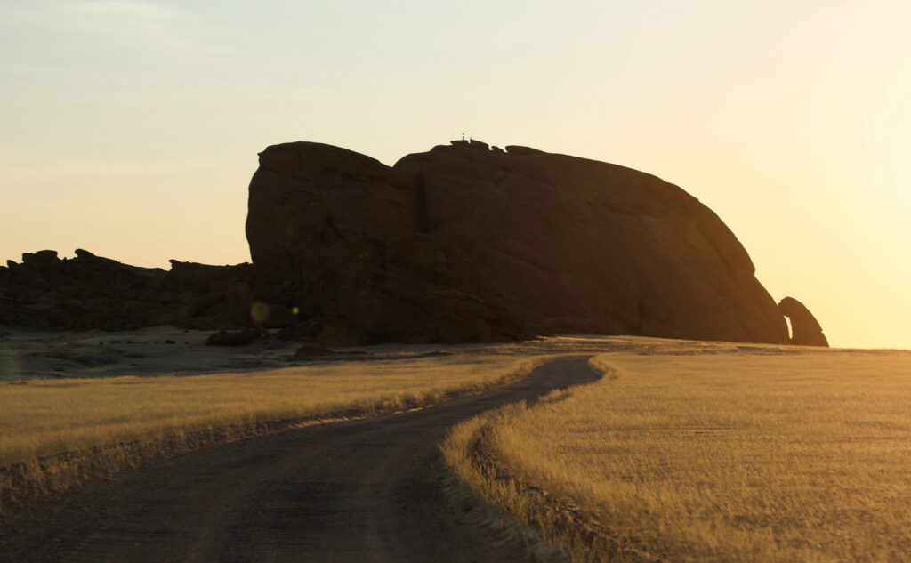 Sunlight on the yellow dry grass at Mirabib