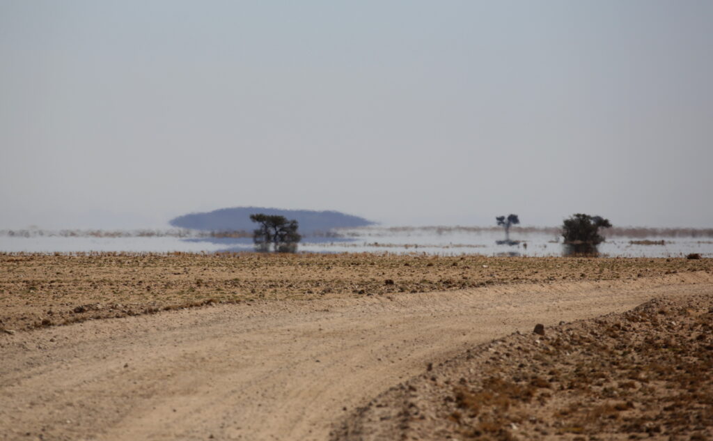 Mirages on the road near Ganab